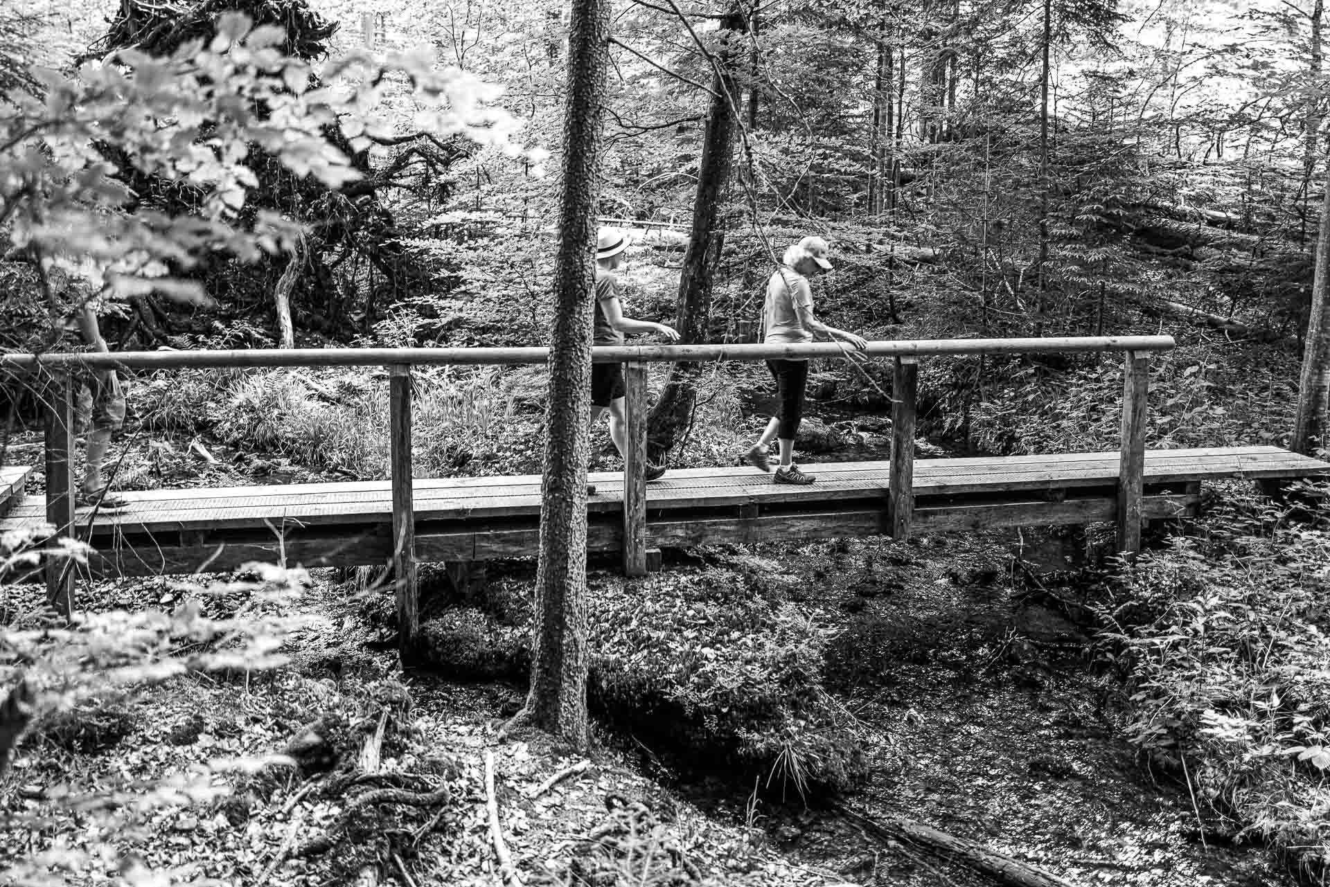 Holzbrücken führen uns über kleine Bachläufe