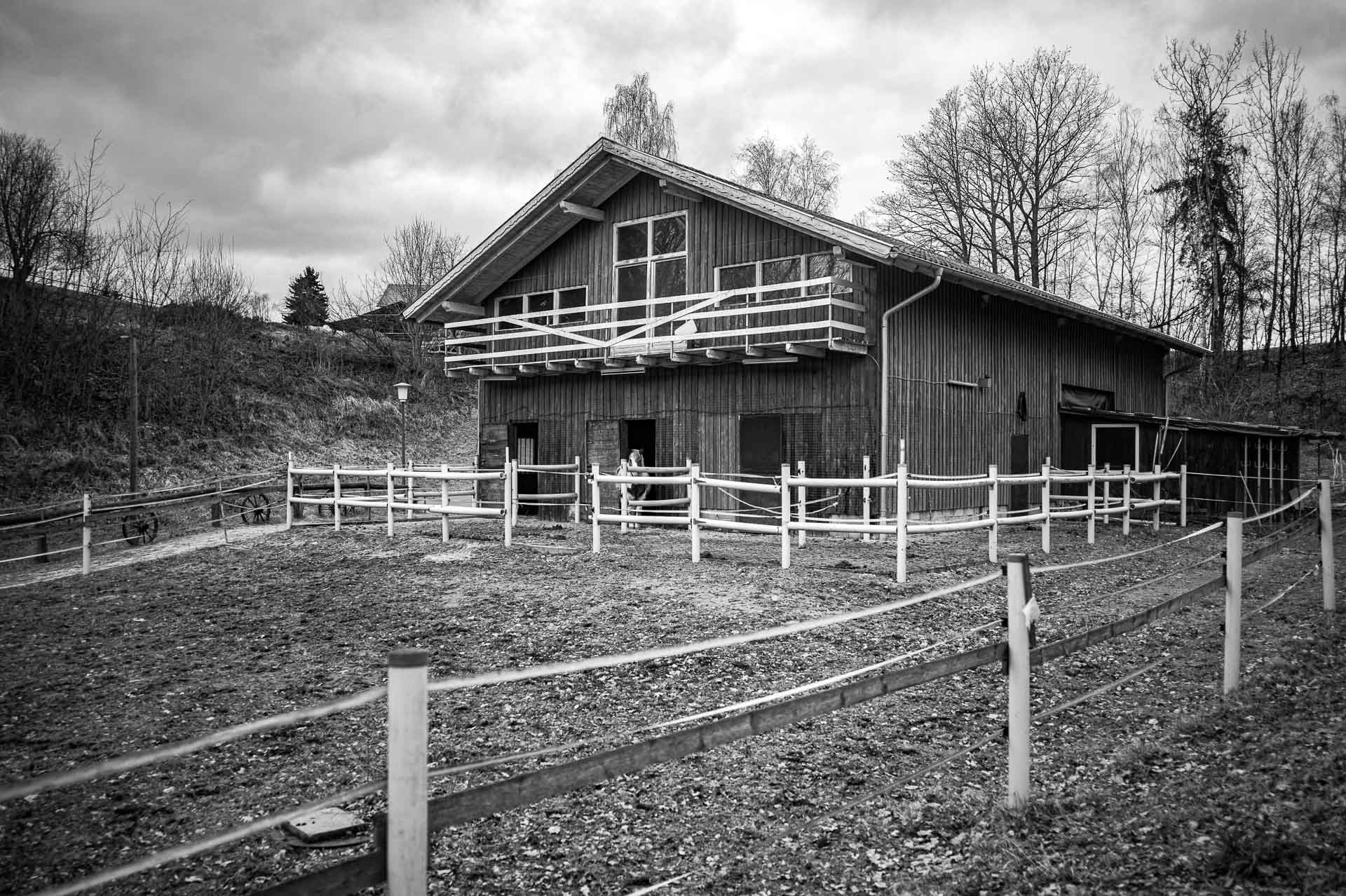 Ein Pferd hinter der Koppel vor dem Pferdestall