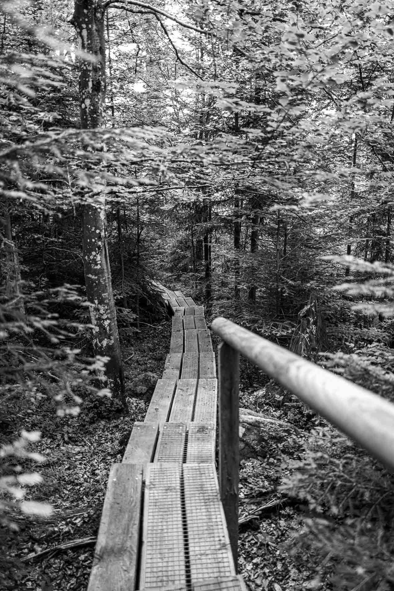 über viele Stufen geht es an dieser Stelle abwärts