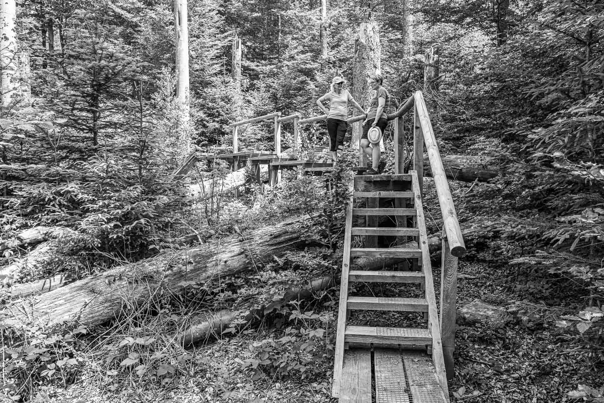 Die Schönheit von Mensch und Natur harmonisch vereint.