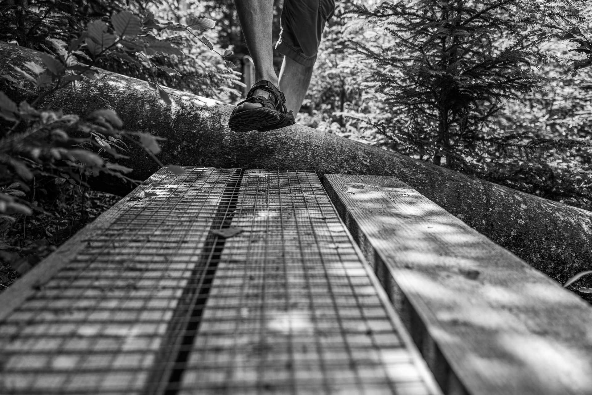 manchmal liegt auch gestürzter Riese über dem Seelensteig. Dann heisst es Füße anhebn.