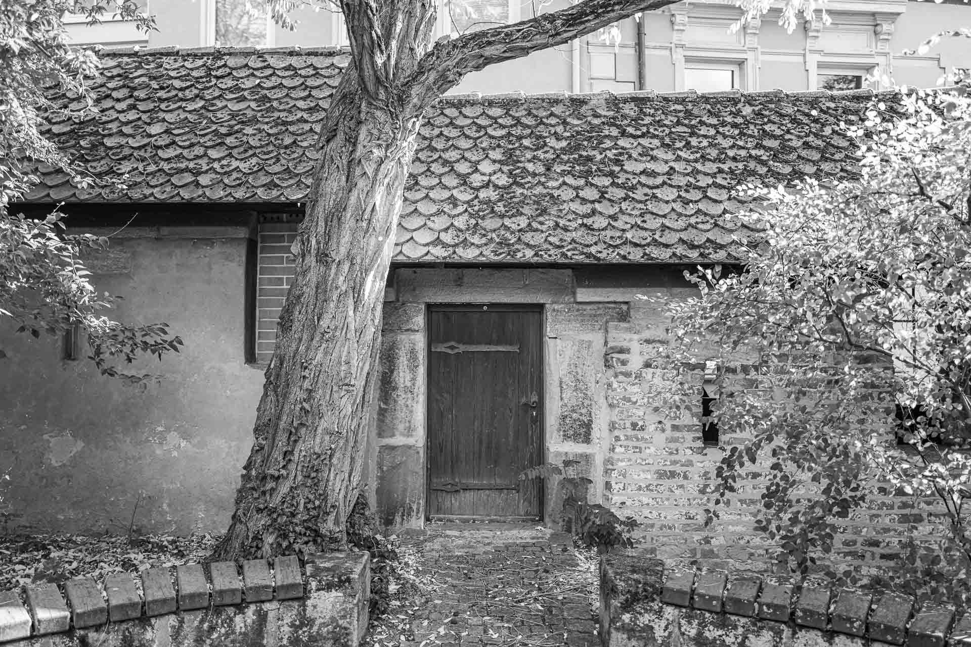 ein Zugang in das innere der Stadtmauer mit Baum vorne links